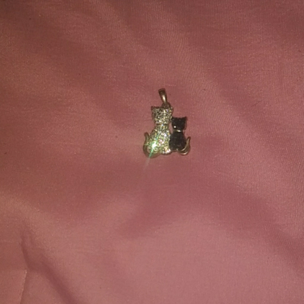 A kitty charm